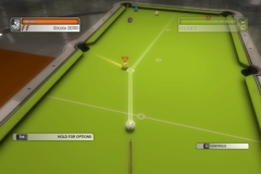 Pool Nation